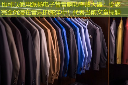 派杨电子管音响功率放大器:令您完全沉浸在音乐的海洋中! 派杨电子管音响功率放大器:令您完全沉浸在音乐的海洋中!